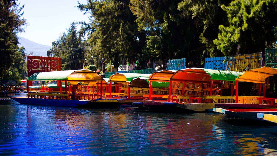 5 cosas que puedes hacer en Xochimilco
